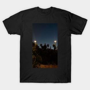 Buddha in the evening T-Shirt